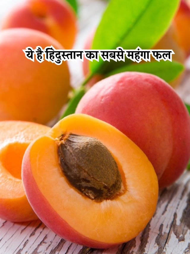 ये है हिंदुस्तान का सबसे महंगा फल