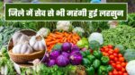 Singrauli Vegetable Price