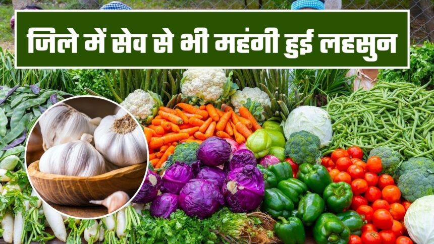 Singrauli Vegetable Price