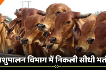 Animal Husbandry Department Job